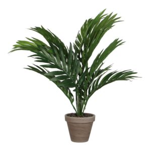 MACETA DE PALMERA AMARILLA O ARECA, 46 x 46 x 42 cm