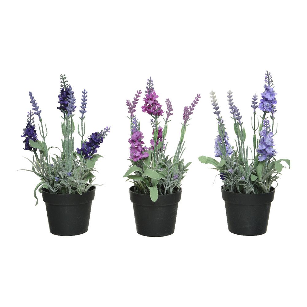 MACETA DE LAVANDA, Ø12 x 25 cm, COLORES SURTIDOS