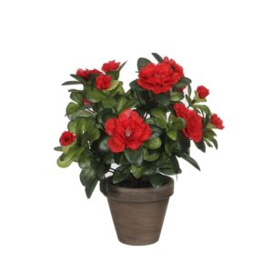 MACETA DE AZALEA ROJA Ø11,5 x 27 cm