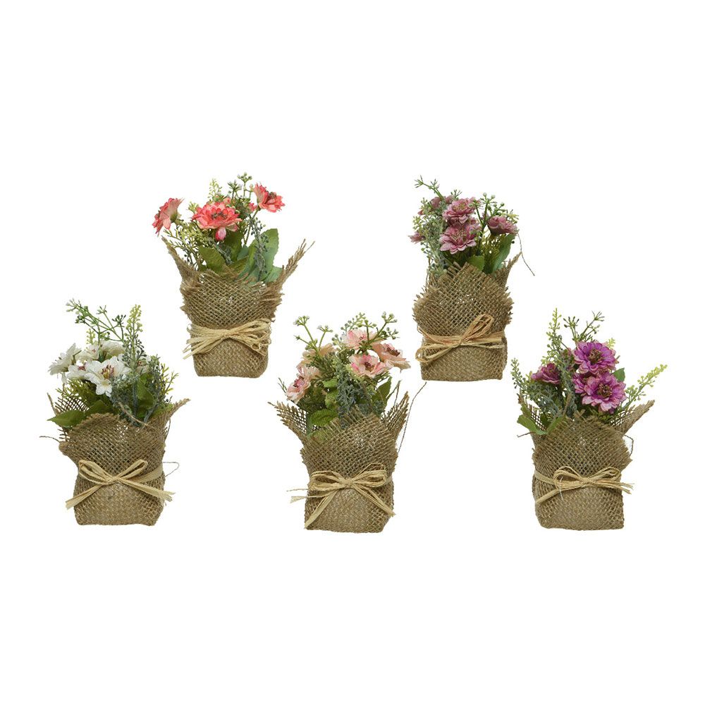 MACETA MINI DE MARGARITAS / DALIAS, Ø7 x 17 cm, MODELOS VARIADOS
