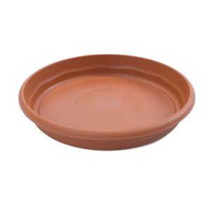 PLATO DE INYECCIÓN TERRACOTA Ø16 cm