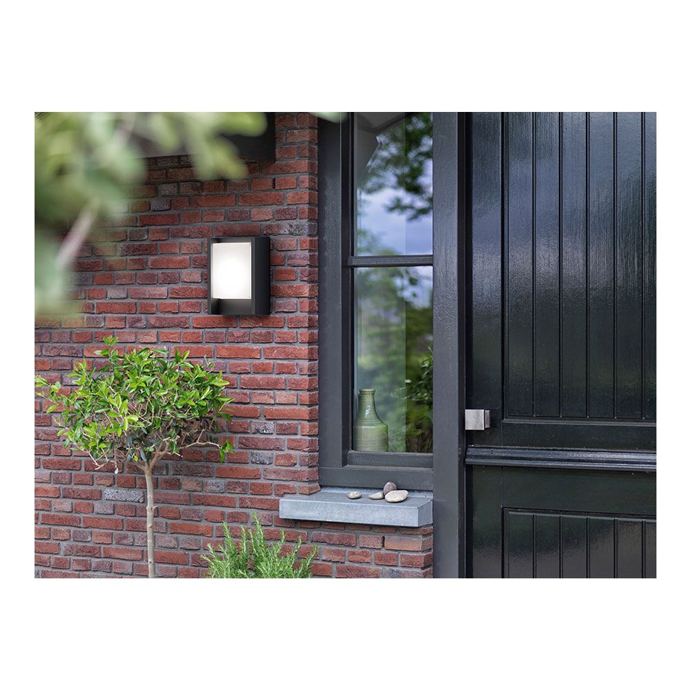 APLIQUE LED MODELO ARBOUR 6 W 600 lm 4000 K - Imagen 4