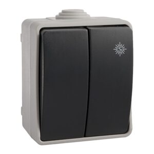 DOBLE CONMUTADOR ESTANCO, 10 AX 250V~. IP54
