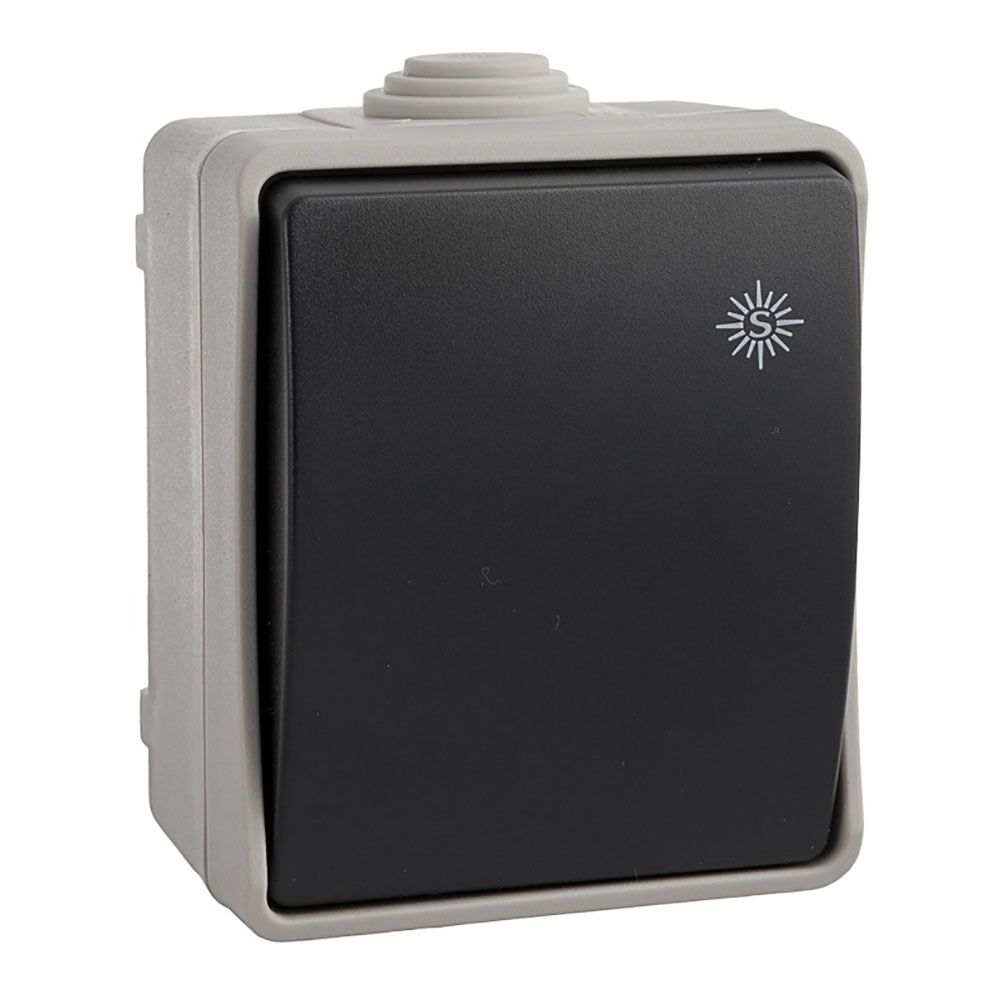CONMUTADOR/INTERRUPTOR ESTANCO, 10 AX 250 V~IP54